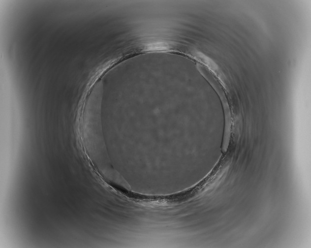 X0000098070385200804110927