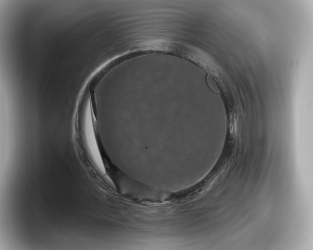 X0000098070388200804110927