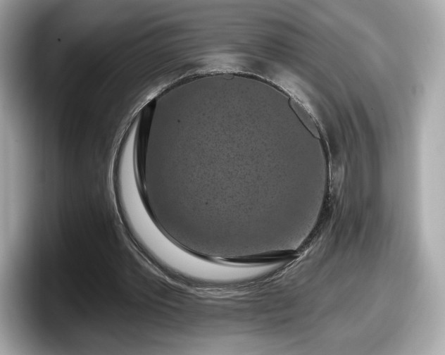 X0000098070389200804110927