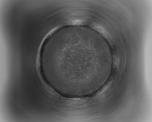 X0000098070392200804110927