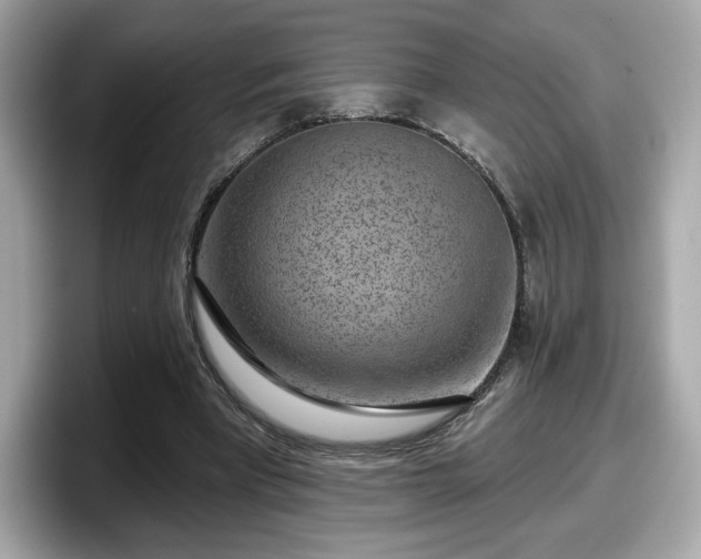 X0000098070393200804110926