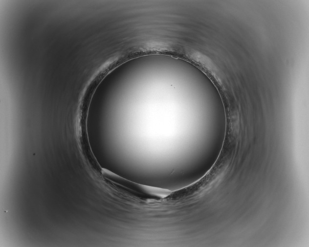 X0000098070395200804110926