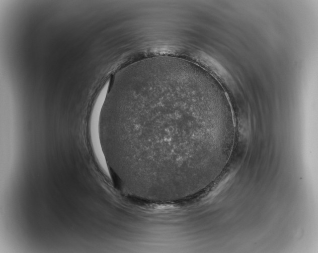 X0000098070401200804110926