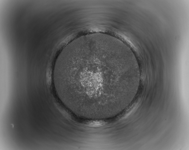 X0000098070402200804110926