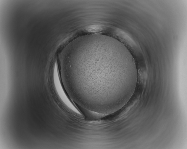 X0000098070404200804110926