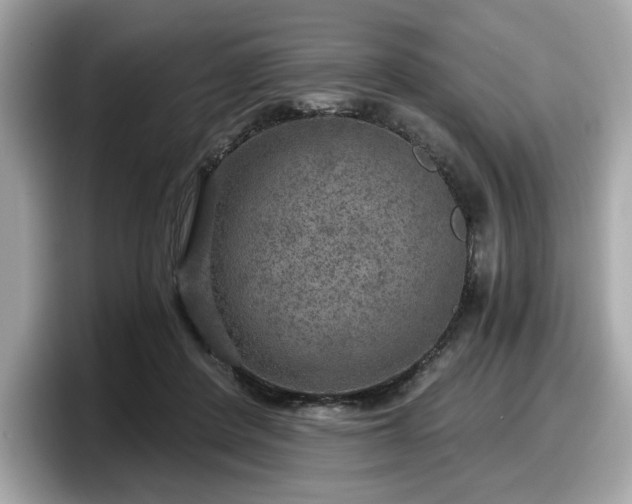 X0000098070408200804110926