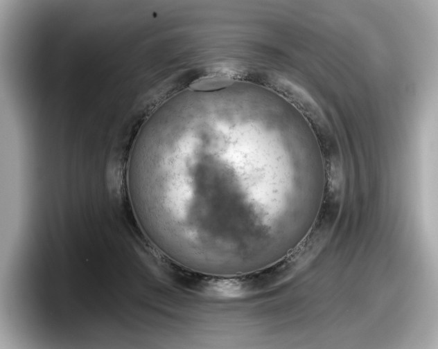 X0000098070409200804110926