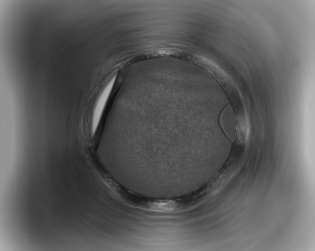 X0000098070410200804110926