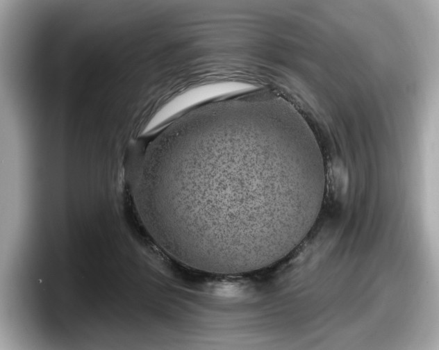 X0000098070412200804110926