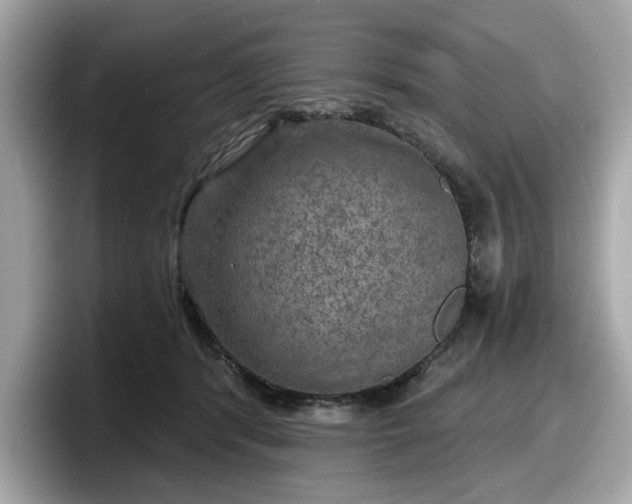 X0000098070416200804110926