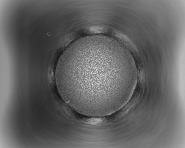 X0000098070418200804110926