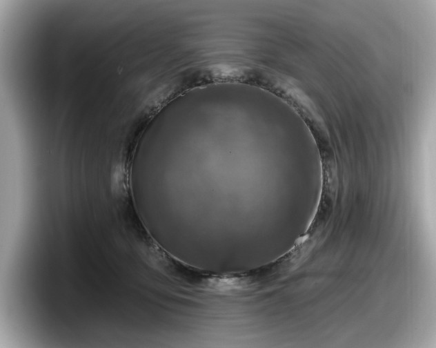 X0000098070419200804110926