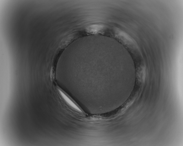 X0000098070420200804110926