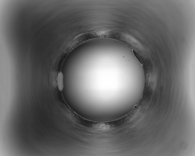 X0000098070421200804110926