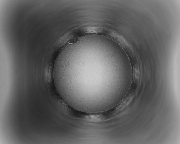 X0000098070422200804110926