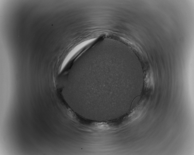 X0000098070424200804110926