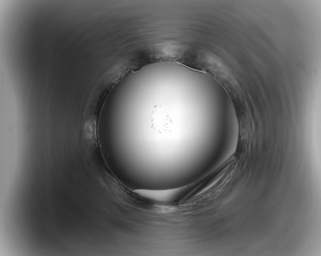 X0000098070425200804110926