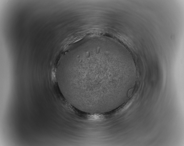 X0000098070432200804110926