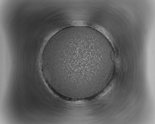 X0000098070433200804110925