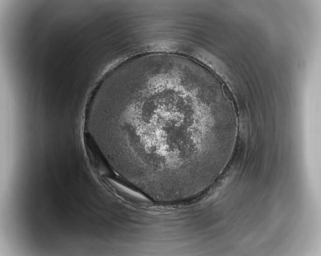 X0000098070434200804110925