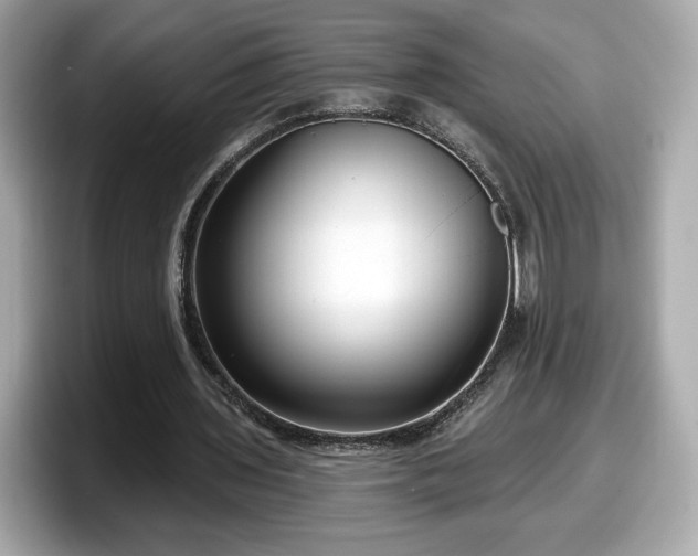 X0000098070435200804110925