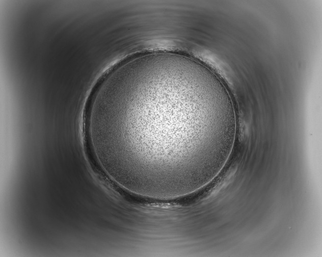 X0000098070439200804110925