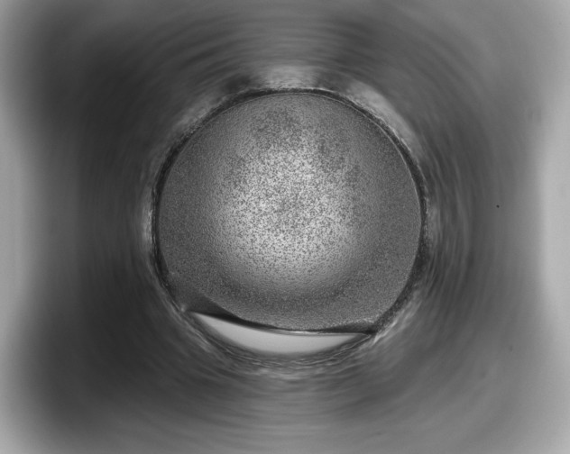 X0000098070441200804110925