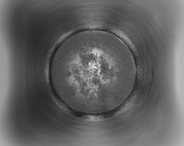 X0000098070442200804110925