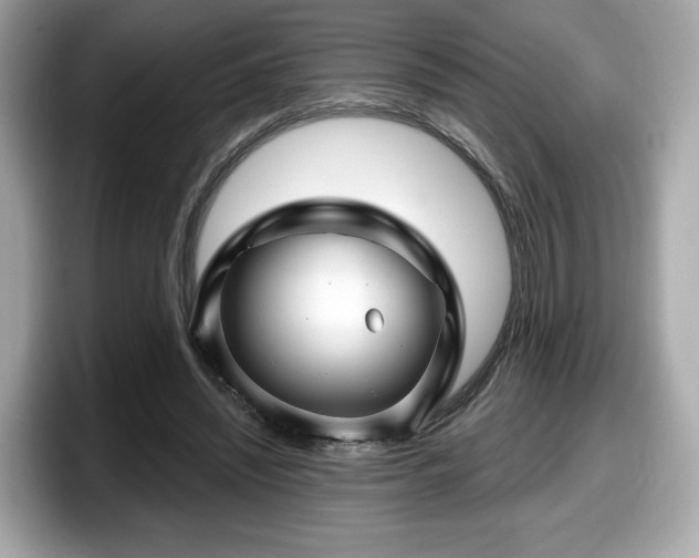 X0000098070444200804110926