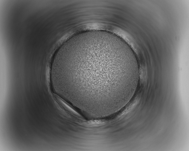 X0000098070445200804110926