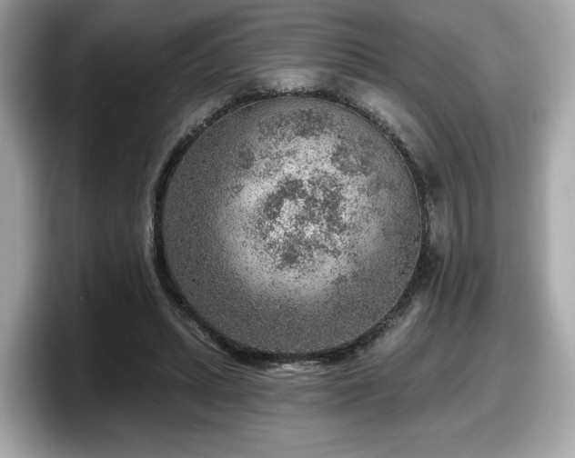 X0000098070447200804110926