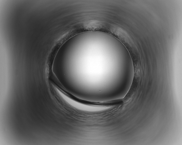 X0000098070448200804110926