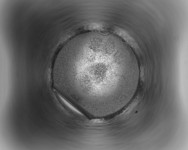 X0000098070449200804110926