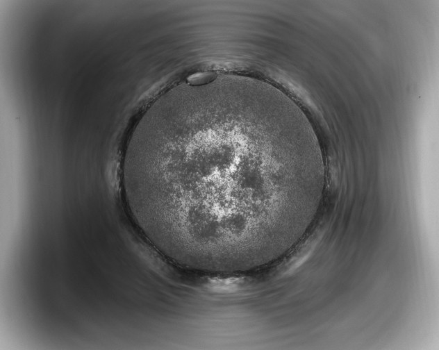 X0000098070450200804110926