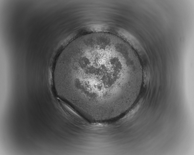 X0000098070453200804110926