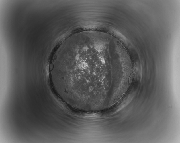 X0000098070454200804110926