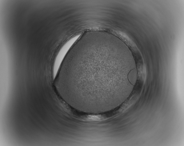 X0000098070457200804110926