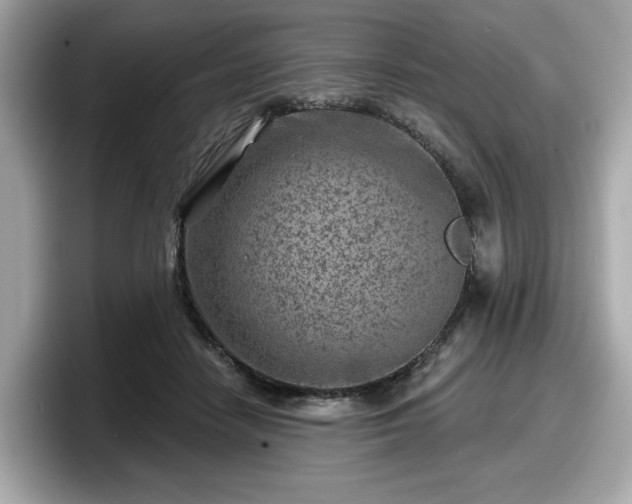 X0000098070458200804110926