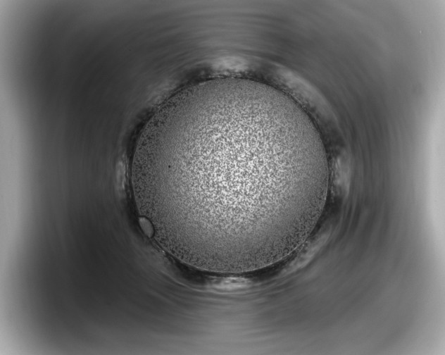 X0000098070463200804110926