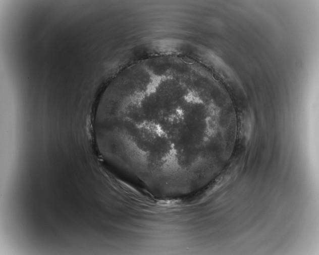 X0000098070465200804110926