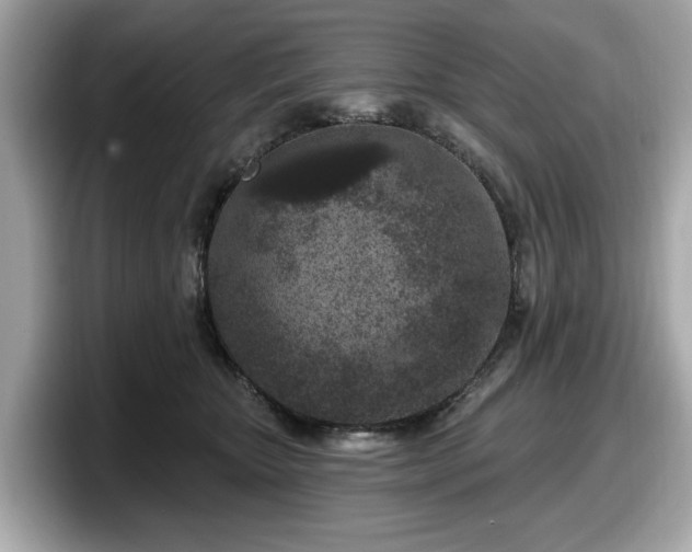 X0000098070467200804110926