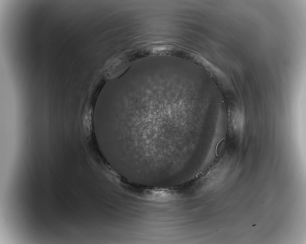 X0000098070475200804110926