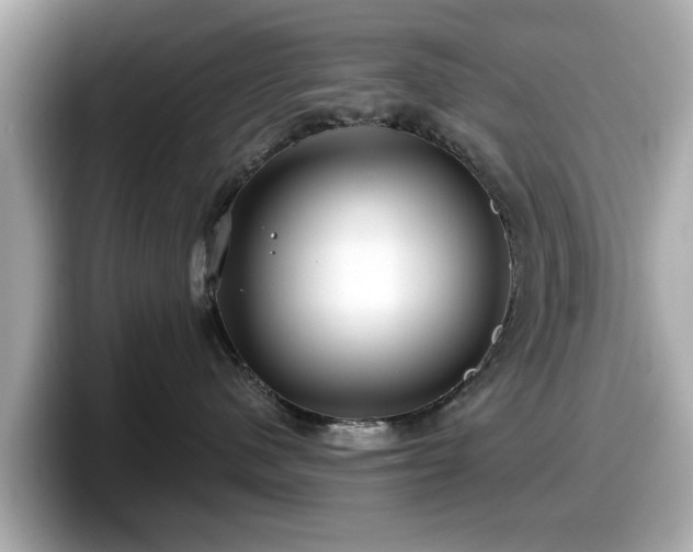 X0000098070480200804110926