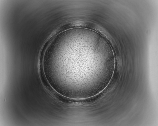 X0000098070482200804110925