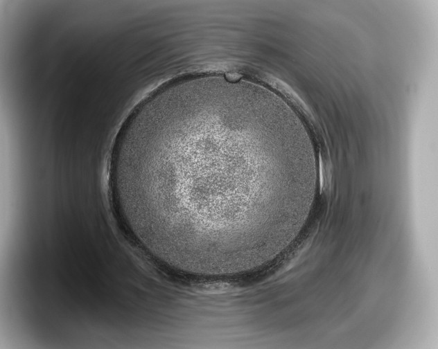 X0000098070483200804110925