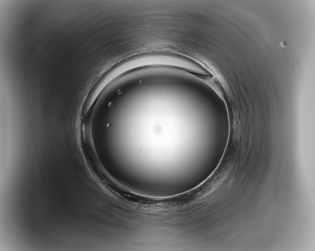 X0000098070485200804110925