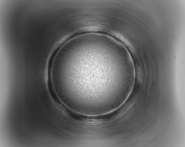 X0000098070486200804110925