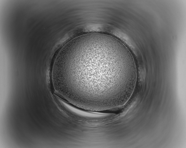 X0000098070489200804110925