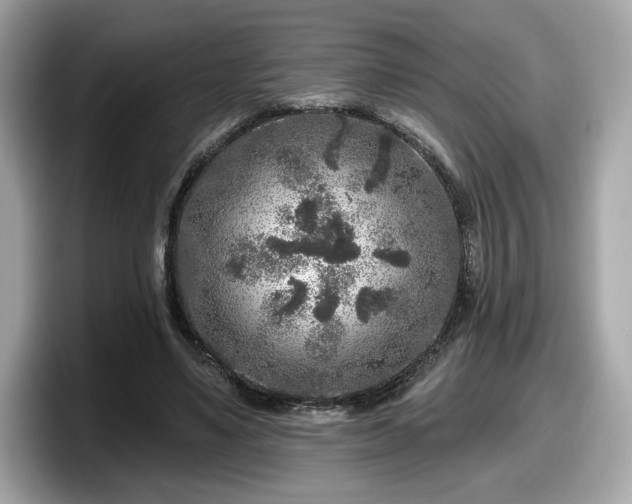 X0000098070491200804110925