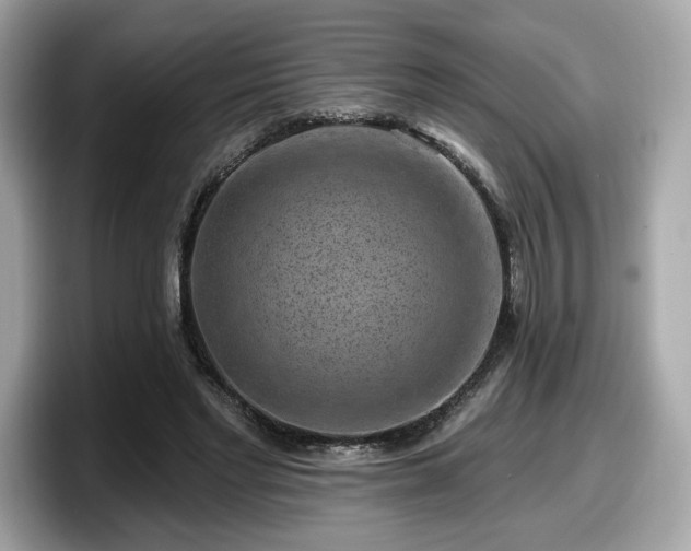 X0000098070493200804110925